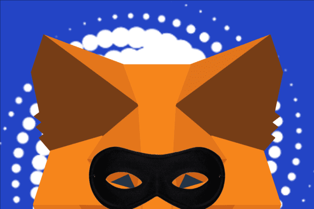 MetaMask IPs